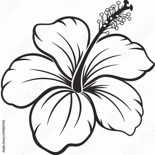 Flower Vector illustration