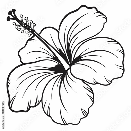 Flower Vector illustration