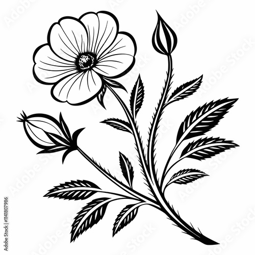 Flower Vector illustration