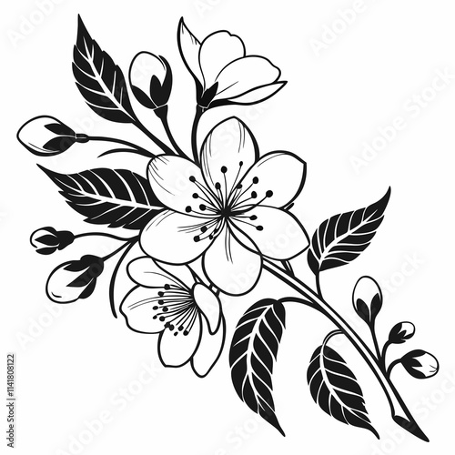 Flower Vector illustration