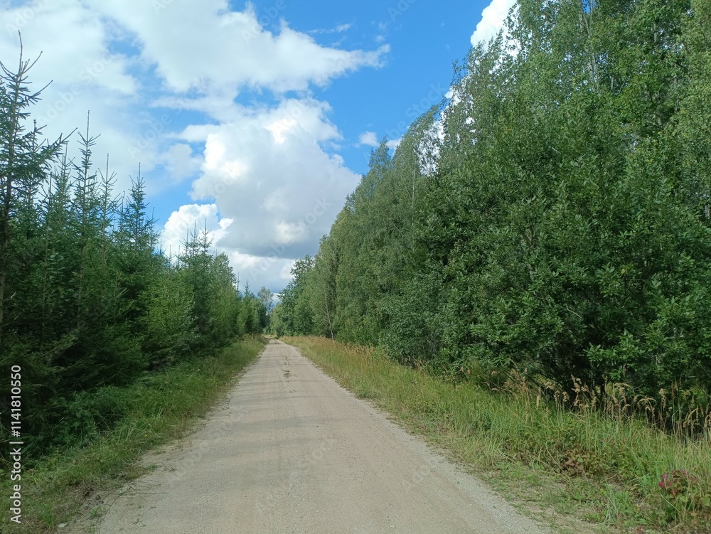 Road in forest in Siauliai county during sunny summer day. Oak and birch tree woodland. Sunny day with white clouds in blue sky. Bushes are growing in woods. Sandy road. Nature. Miskas. Road in forest in Siauliai county during sunny summer day. Oak and birch tree woodland. Sunny day with white clouds in blue sky. Bushes are growing in woods. Sandy road. Nature. Miskas.