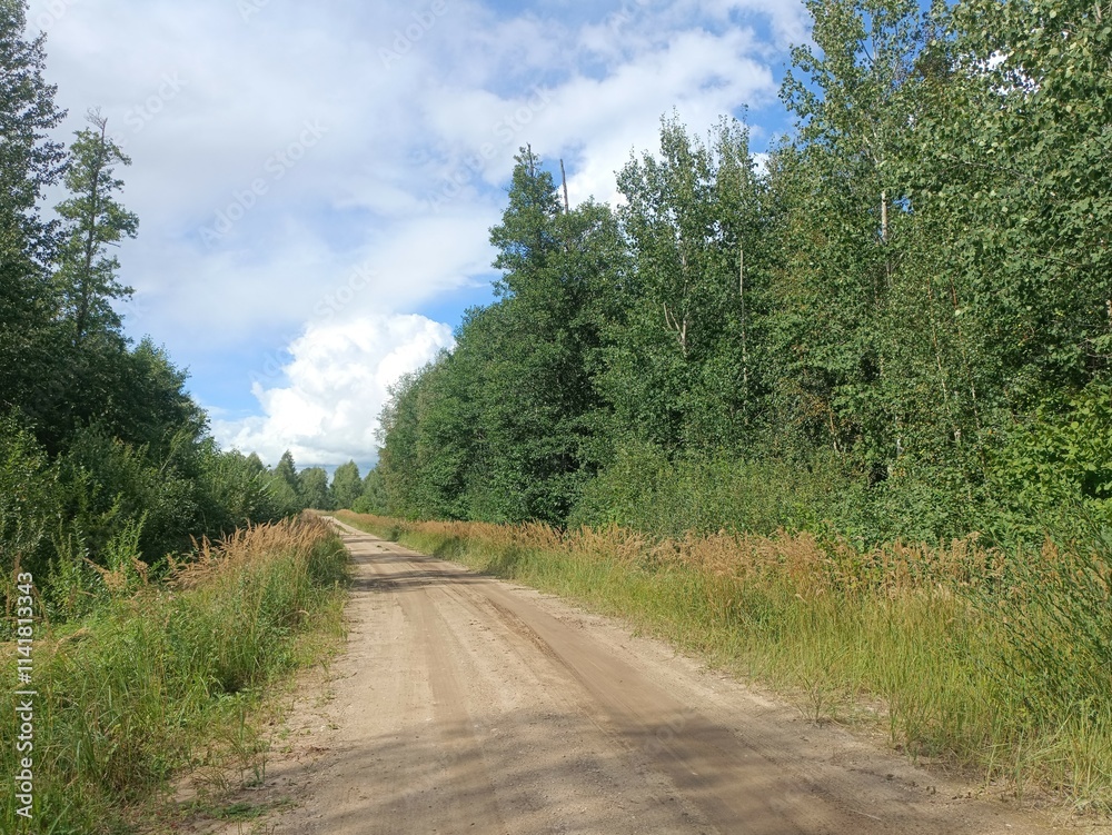 Road in forest in Siauliai county during sunny summer day. Oak and birch tree woodland. Sunny day with white clouds in blue sky. Bushes are growing in woods. Sandy road. Nature. Miskas. Road in forest in Siauliai county during sunny summer day. Oak and birch tree woodland. Sunny day with white clouds in blue sky. Bushes are growing in woods. Sandy road. Nature. Miskas.