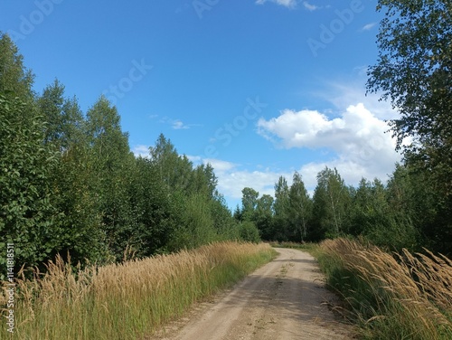 Road in forest in Siauliai county during sunny summer day. Oak and birch tree woodland. Sunny day with white clouds in blue sky. Bushes are growing in woods. Sandy road. Nature. Miskas.