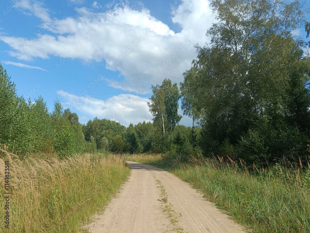 Road in forest in Siauliai county during sunny summer day. Oak and birch tree woodland. Sunny day with white clouds in blue sky. Bushes are growing in woods. Sandy road. Nature. Miskas. Road in forest in Siauliai county during sunny summer day. Oak and birch tree woodland. Sunny day with white clouds in blue sky. Bushes are growing in woods. Sandy road. Nature. Miskas.