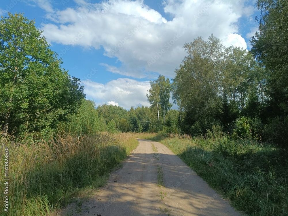 Road in forest in Siauliai county during sunny summer day. Oak and birch tree woodland. Sunny day with white clouds in blue sky. Bushes are growing in woods. Sandy road. Nature. Miskas. Road in forest in Siauliai county during sunny summer day. Oak and birch tree woodland. Sunny day with white clouds in blue sky. Bushes are growing in woods. Sandy road. Nature. Miskas.