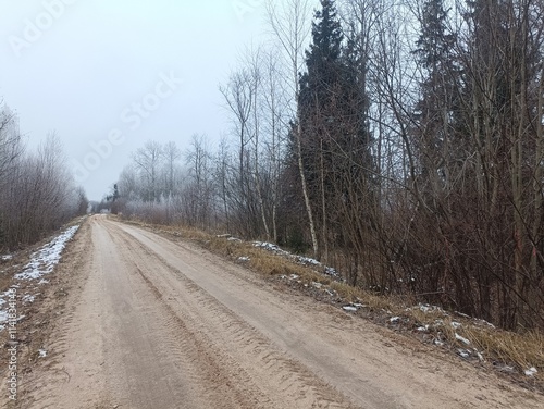 Road in forest in Siauliai county during cloudy winter day. Oak and birch tree woodland. Cloudy day with white clouds in sky. Bushes are growing in woods. Sandy road. Nature. Winter season. Miskas. photo