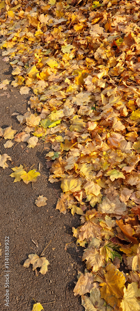 Ground covered with a layer of dry leaves in warm autumn tones Ground covered with a layer of dry leaves in warm autumn tones
