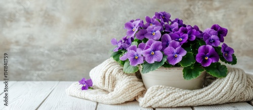 Cozy interior decor featuring African violets in a rustic setting with a soft blanket and white wooden background for a warm ambiance