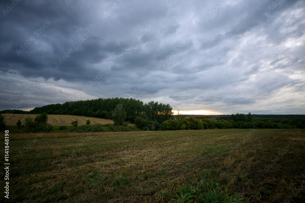 Field after harvesting grain on a cloudy day Field after harvesting grain on a cloudy day