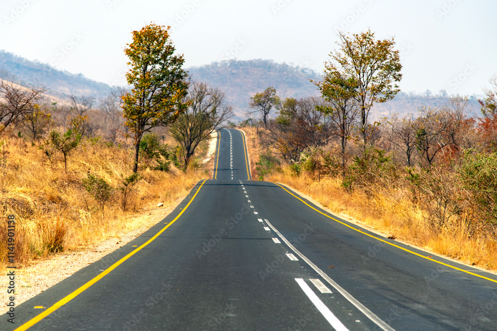 road in the rural area of Zambia, Africa road in the rural area of Zambia, Africa