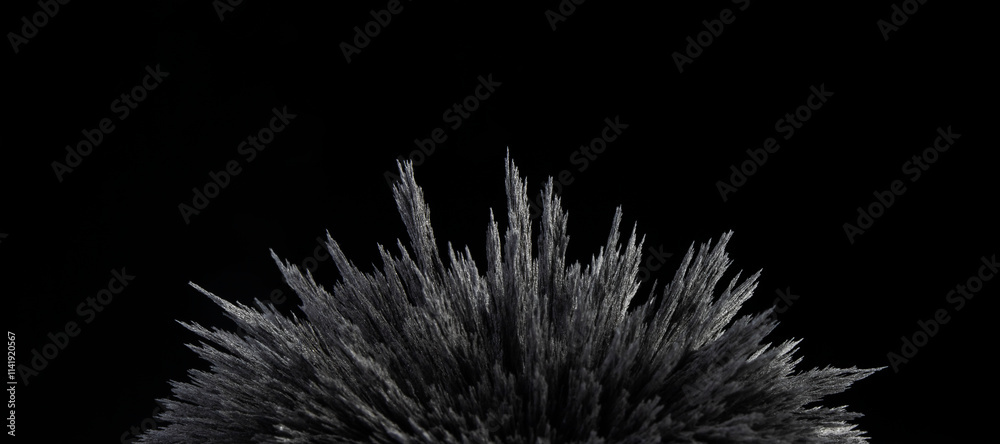 Fototapeta premium Reaction of iron dust to a magnetic field. Iron filings spikes. Neodymium magnet. Isolated on a black background.