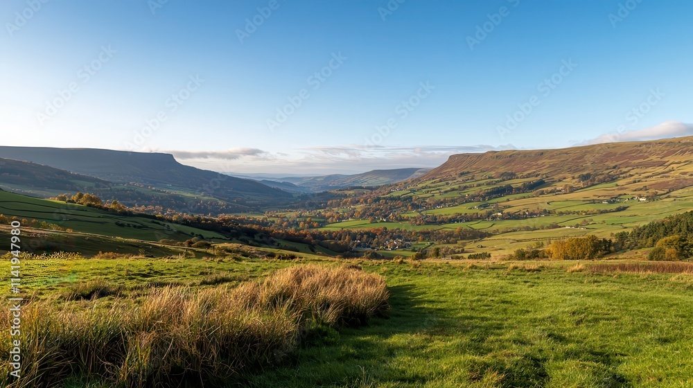Golden rolling hills with a clear blue sky, capturing the beauty of a rural landscape Golden rolling hills with a clear blue sky, capturing the beauty of a rural landscape