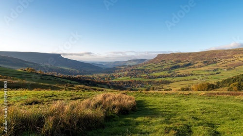 Golden rolling hills with a clear blue sky, capturing the beauty of a rural landscape