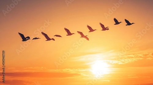 Wallpaper Mural Silhouettes of Birds Flying at Sunset Torontodigital.ca