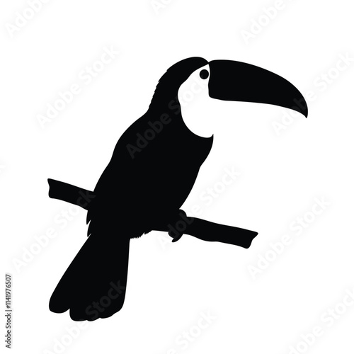 Toucan bird black and white silhouette