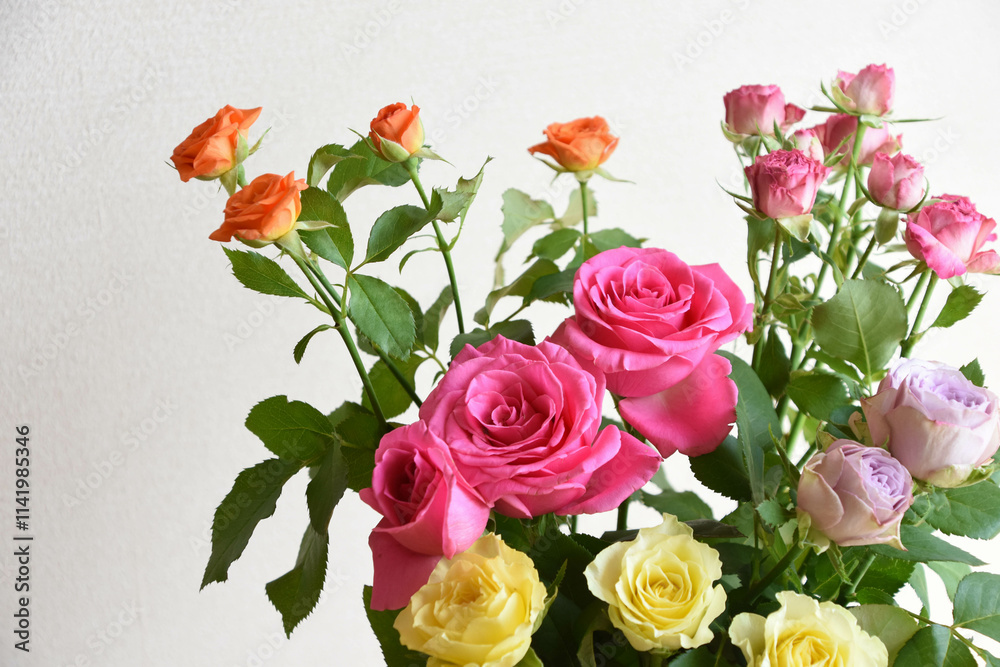 カラフルな薔薇 カラフルな薔薇