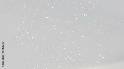 Abstract White Speckles on Light Gray Background