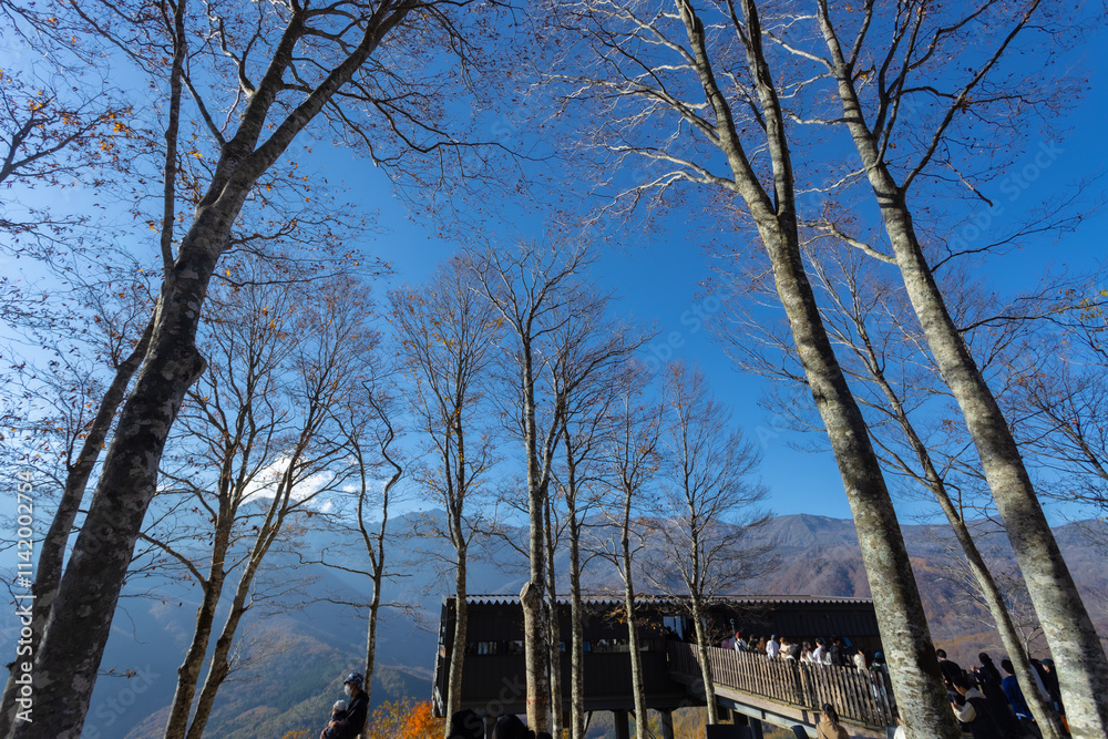 At Iwatake Ski Resort, Hakuba, Nagano, Japan easily see the beautiful scenery of the Japan Alps. In particular during the autumn foliage season, can see the colors of the leaves and the snow on top. At Iwatake Ski Resort, Hakuba, Nagano, Japan easily see the beautiful scenery of the Japan Alps. In particular during the autumn foliage season, can see the colors of the leaves and the snow on top.
