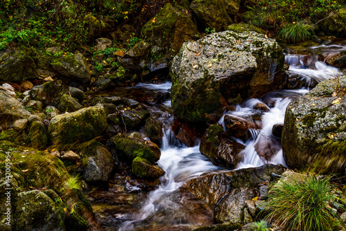 waterfall in the forest