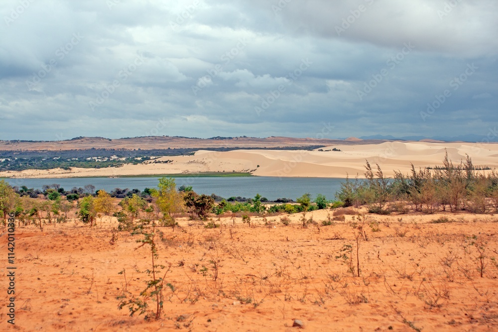 The dramatic Mui Ne sand dunes with sparse vegetation and a lake under a cloudy sky in Vietnam The dramatic Mui Ne sand dunes with sparse vegetation and a lake under a cloudy sky in Vietnam