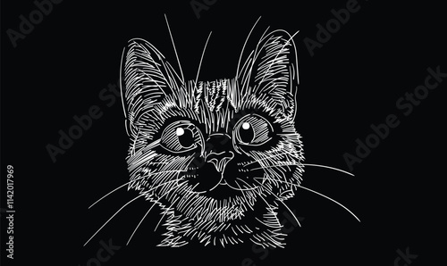 hand drawn cat, eye, engraving, black & white theme photo