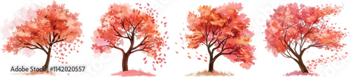 Autumn tree vector.Realistic Trees Isolated