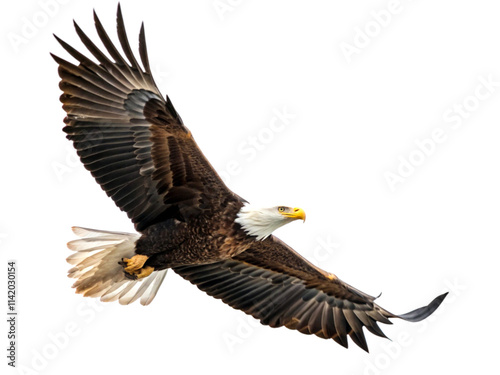 Eagle flying in air isolated on transparent background