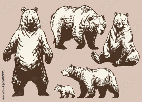 Set of Hand Drawn Bear Collection in Vintage Style