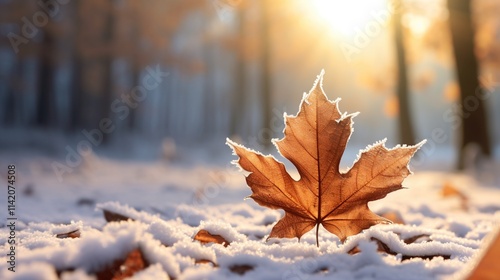 Single brown leaf in winter snow, sunlit scene photo