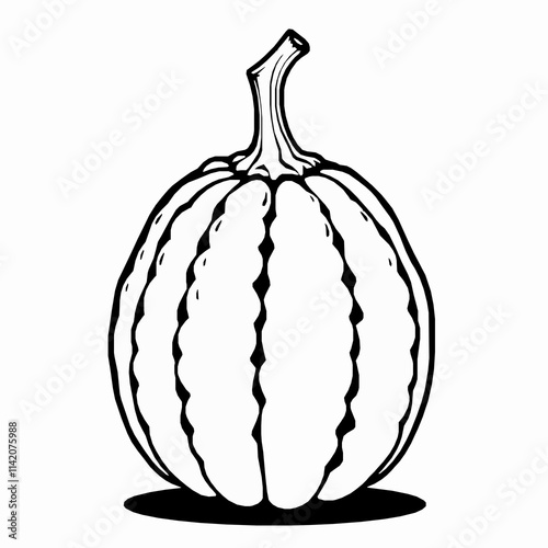 Scallopini Squash Outline Vector Illustration with Rounded Ridged Body