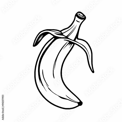 banana outline vector illustration with peeled skin and detailed texture