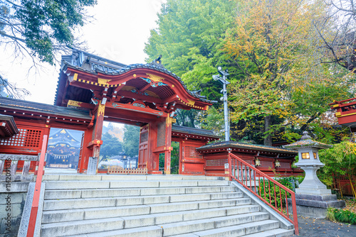 秋の霧のかかる秩父神社　埼玉県秩父市　Chichibu Shrine covered in autumn mist. Saitama Pref, Chichibu City.