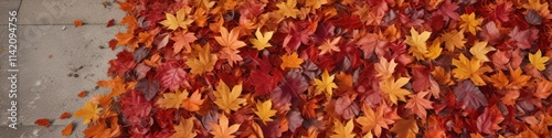 A carpet of vibrant orange and red autumn leaves underfoot, landscape, red, orange