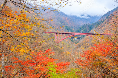 秋の豆焼橋と雁坂大橋　埼玉県秩父市　Autumn Mameyaki Bridge and Karisaka Ohashi Bridge. Saitama Pref, Chichibu City. photo