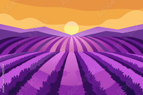 Serene Lavender Farm Scene with Vibrant Purple Blooms at Sunset