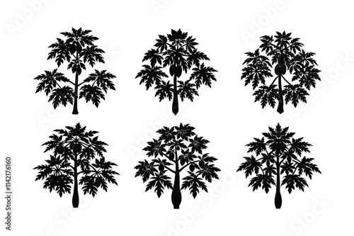 vector of Papaya Tree (Carica papaya) design, labeled vector art, linocut silhouette illustration.