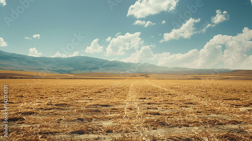 Degraded Agricultural Fields from Excessive Use: Barren fields depleted from intensive farming and chemical exposure, showcasing soil degradation.