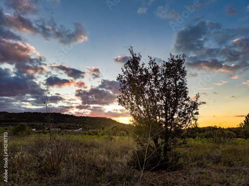 Silueta de árbol solitario en campo abierto al atardecer. Tonos cálidos y cielo nublado. Paz y tranquilidad en la naturaleza. Ideal para fondos de pantalla y diseño gráfico. photo