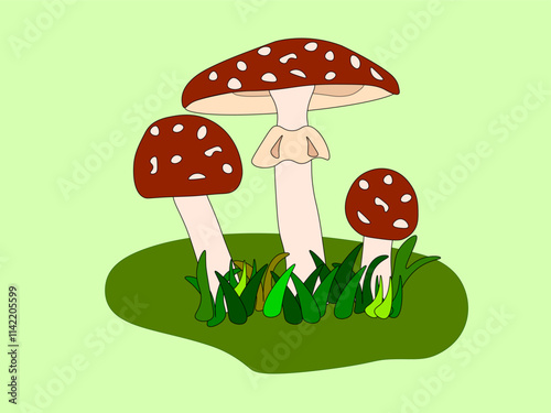 Three amanita mushrooms in the grass.