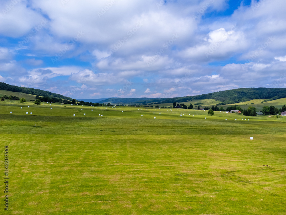 Beautiful blue sky, green meadow. A wonderful, perfect landscape.