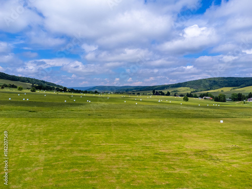 Obraz na płótnie Beautiful blue sky, green meadow. A wonderful, perfect landscape. w salonie