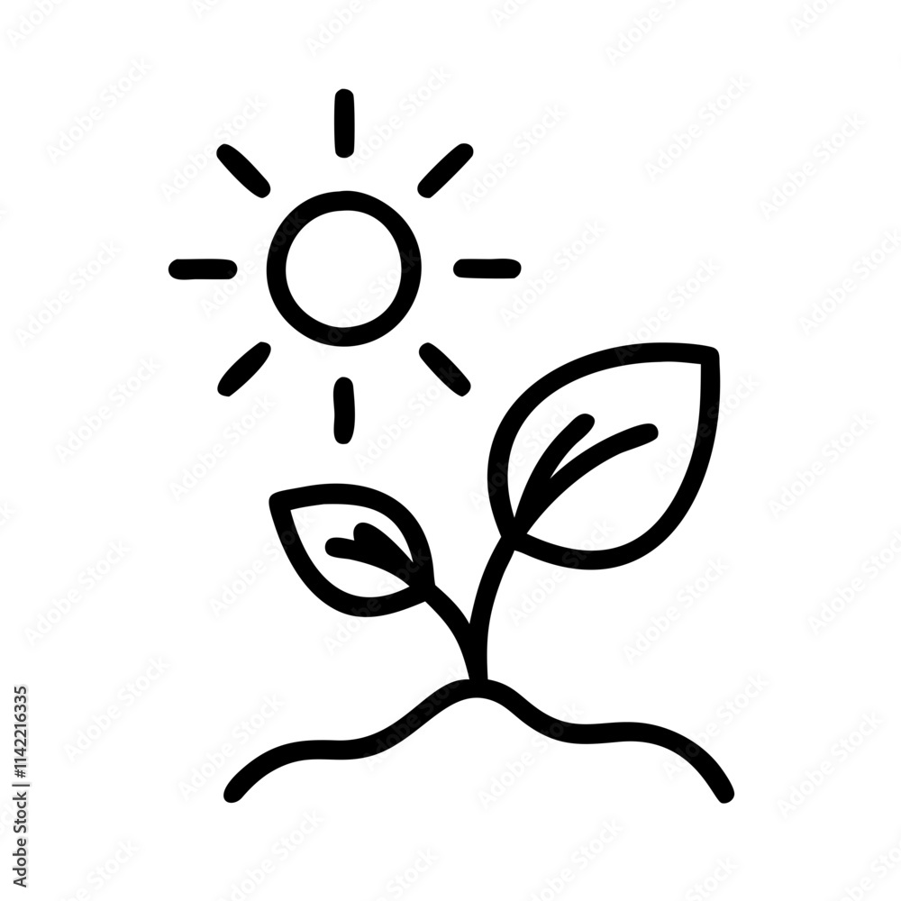 Plant reaching for the sun with leaves and sunlight on a white background - growth concept Plant reaching for the sun with leaves and sunlight on a white background - growth concept