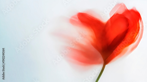 Fototapeta Naklejka Na Ścianę i Meble -  Blurry heart-shaped red flower in motion on white background. Abstract banner template with copy style