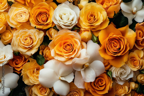 Yellow Roses Background
