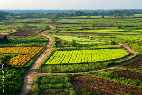 A scenic view of vibrant agricultural fields with winding paths under a clear sky.