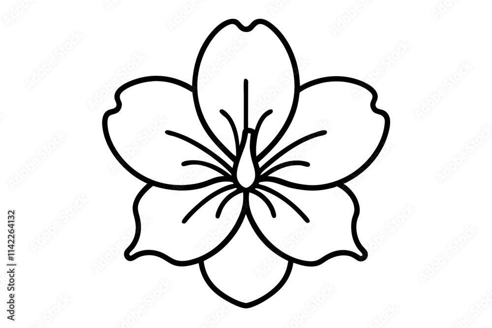 Obraz premium black and white flower