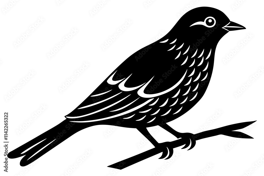 Fototapeta premium bird on a branch