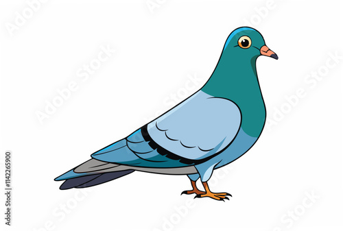 pigeon on white