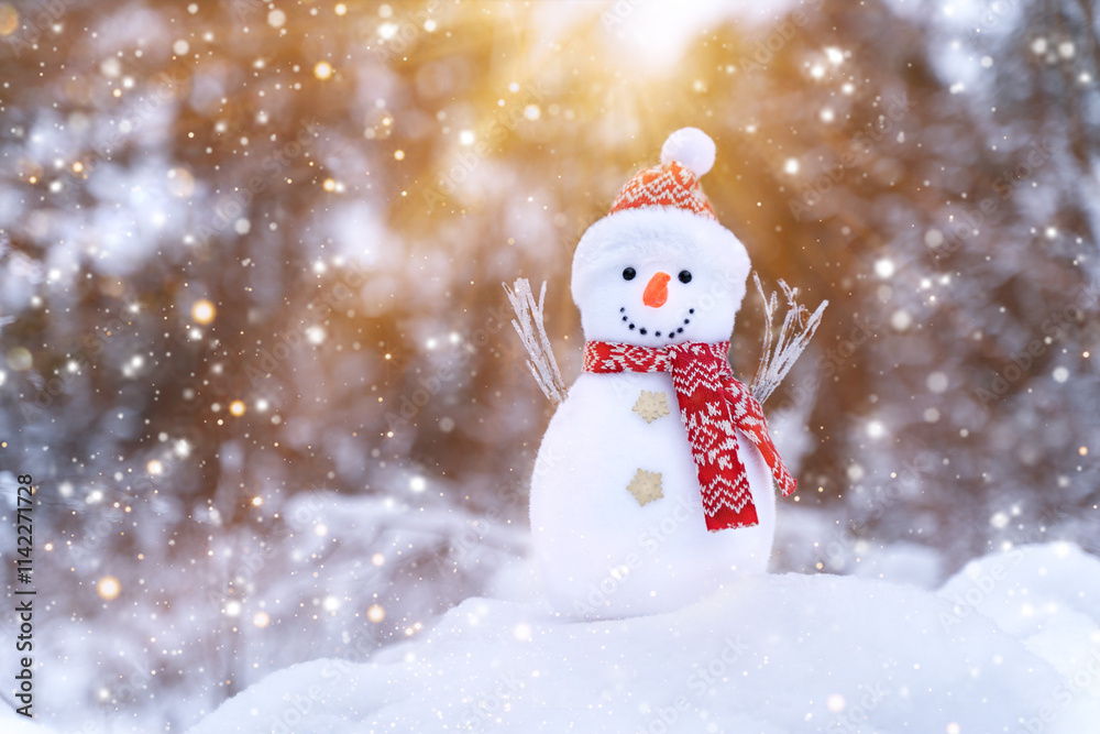 Cute snowman in red hat and scarf outdoors in a snowy winter. Christmas, New Year Cute snowman in red hat and scarf outdoors in a snowy winter. Christmas, New Year