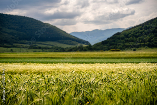 Mărginimea Sibiului landscape, Romania photo